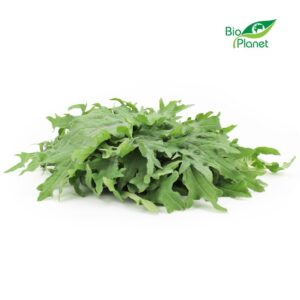 JARMUŻ ŚWIEŻY NIEMYTY BIO (POLSKA) (około 0,10 kg) (1 szt.)