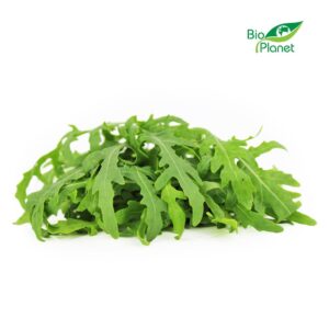 RUKOLA ŚWIEŻA NIEMYTA BIO (POLSKA) (około 0,10 kg) (1 szt.)