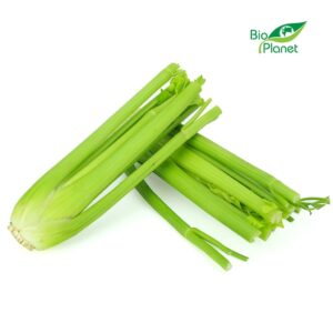 SELER NACIOWY ŚWIEŻY BIO (POLSKA) (około 0,35 kg) (1 szt.)