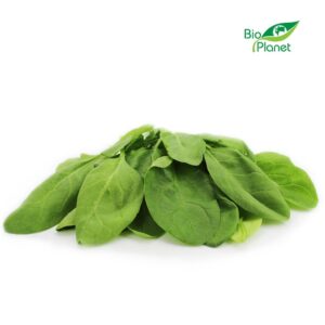 SZPINAK ŚWIEŻY NIEMYTY BIO (POLSKA) (około 0,10 kg) (1 szt.)