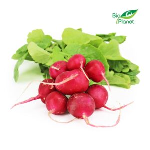 RZODKIEWKI ŚWIEŻE BIO (POLSKA) (około 0,15 kg) (1 szt.)