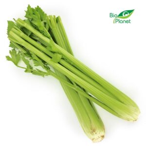 SELER NACIOWY ŚWIEŻY BIO (około 0,30 kg) (1 szt.)
