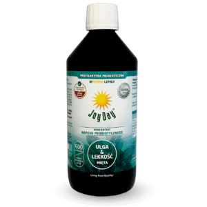 KONCENTRAT NAPOJU PROBIOTYCZNEGO MIĘTA BEZGLUTENOWY BIO 500 ml - JOY DAY (1 szt.)