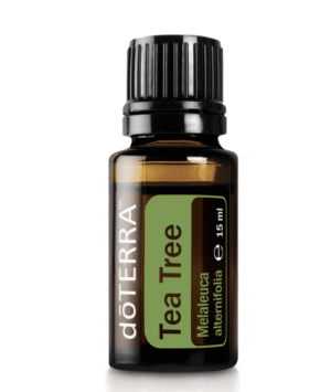 Olejek eteryczny z drzewa herbacianego 15ml- Doterra