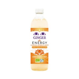 PIWO IMBIROWE ENERGY BEZALKOHOLOWE FAIR FOR LIFE BIO 350 ml - KARMA (2 szt.)